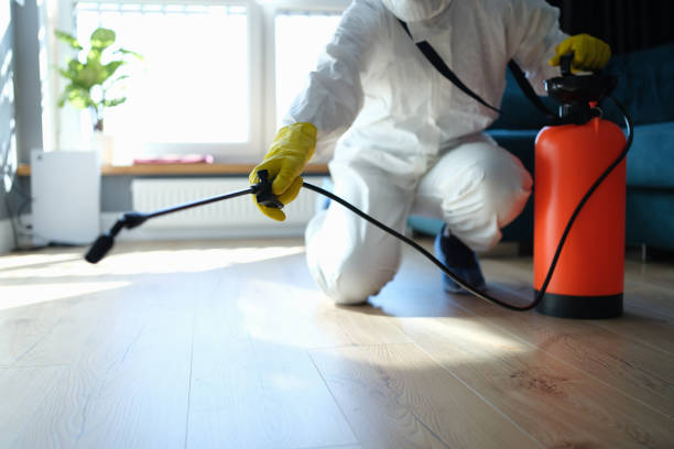 Reliable Hoarding Cleanup contractor in Conway, FL by Dulley Family Biohazard Services